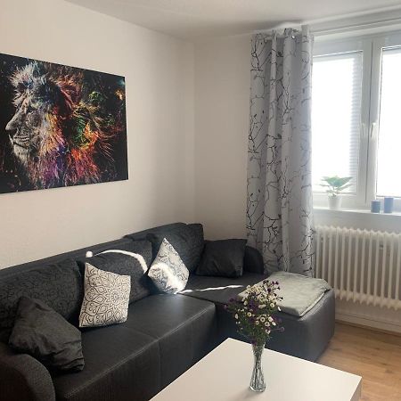 Grosse Moderne Ferienwohnung, Zentrale Ruhige Lage 卡塞尔 外观 照片
