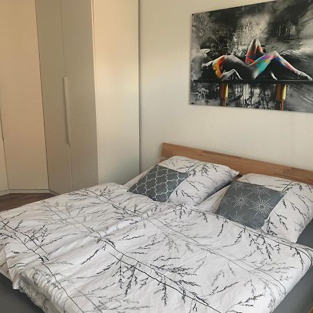 Grosse Moderne Ferienwohnung, Zentrale Ruhige Lage 卡塞尔 外观 照片