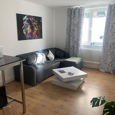 Grosse Moderne Ferienwohnung, Zentrale Ruhige Lage 卡塞尔 外观 照片