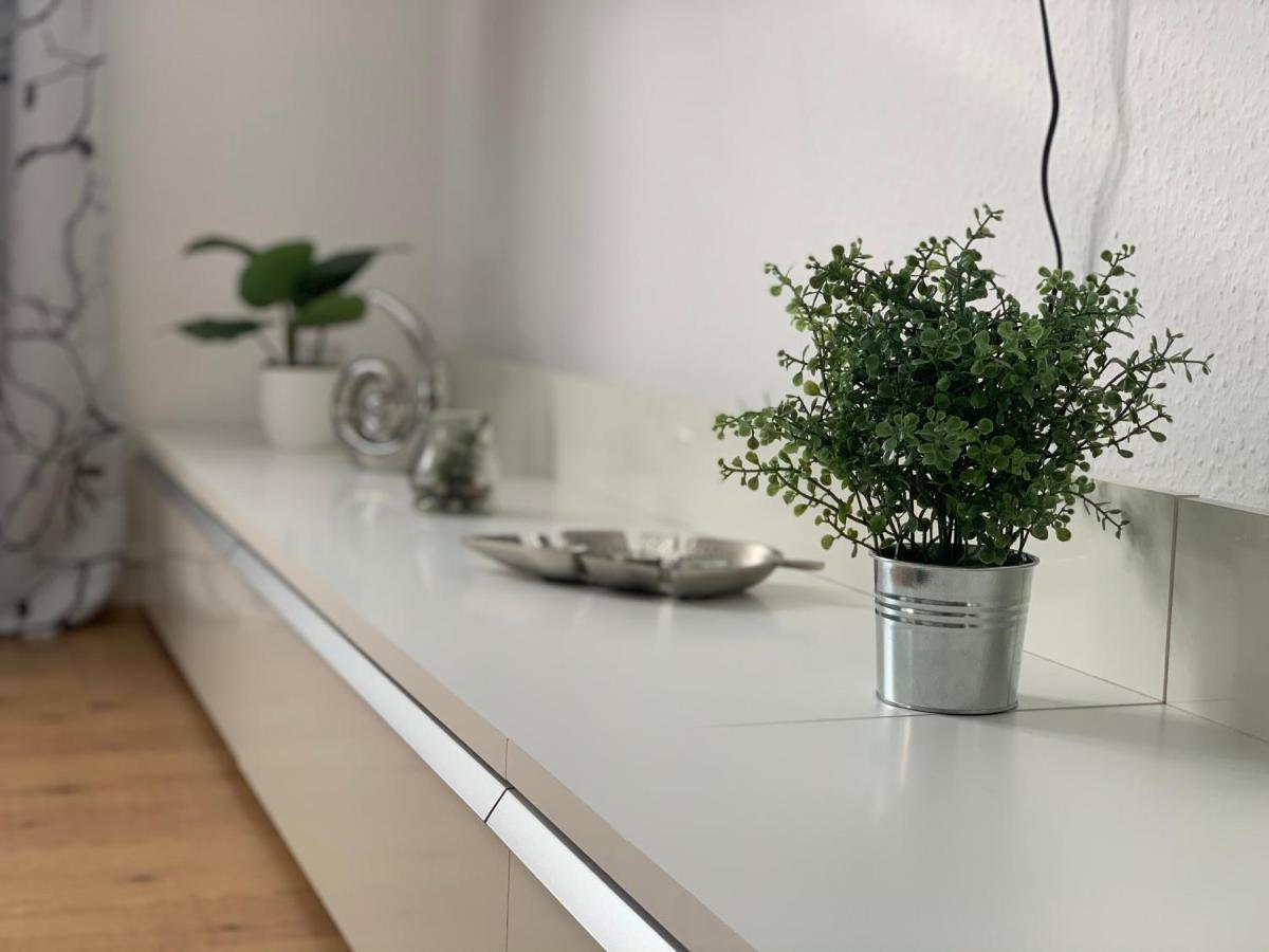 Grosse Moderne Ferienwohnung, Zentrale Ruhige Lage 卡塞尔 外观 照片